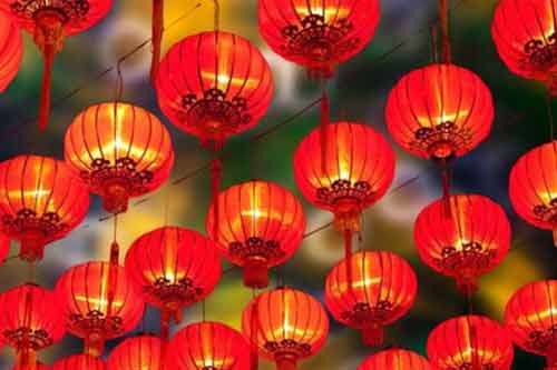 帮农网种植技术养殖技术农业信息-第13页(图14)