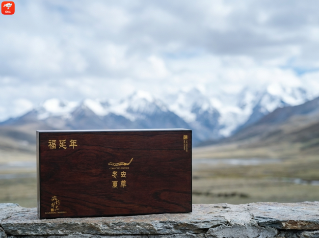 自用养生选哪个冬虫夏草品牌？高海拔正品溯源内行甄选干货分享(图2)