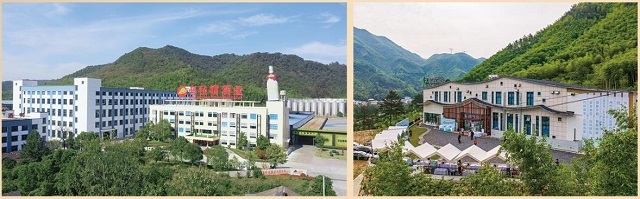 守正创新焕活江南虫草安吉蝉花采收季启幕蝉小宝系列新品亮相(图3)