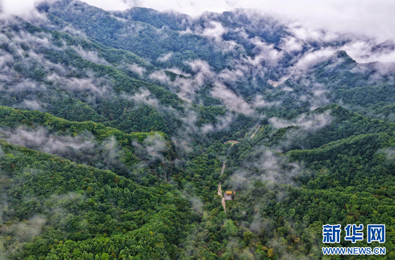 守得住青山看得见“金山”-新华网(图1)